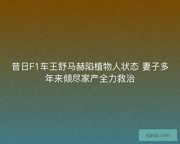 昔日F1车王舒马赫陷植物人状态 妻子多年来倾尽家产全力救治