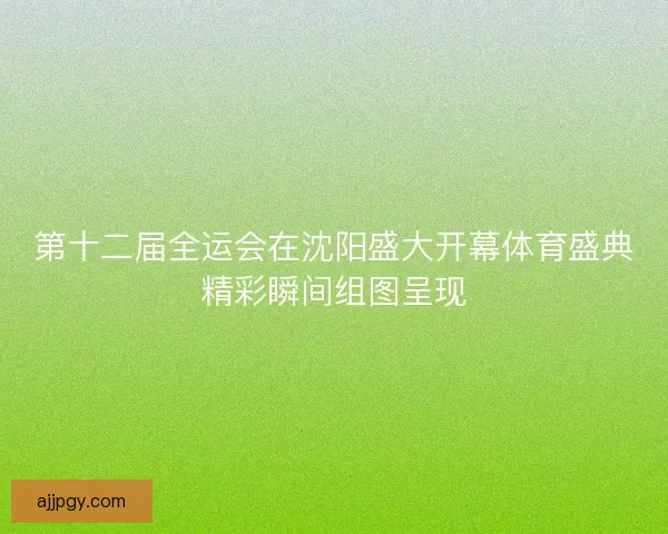 第十二届全运会在沈阳盛大开幕体育盛典精彩瞬间组图呈现 第十二届全运会在沈阳盛大开幕体育盛典精彩瞬间组图呈现