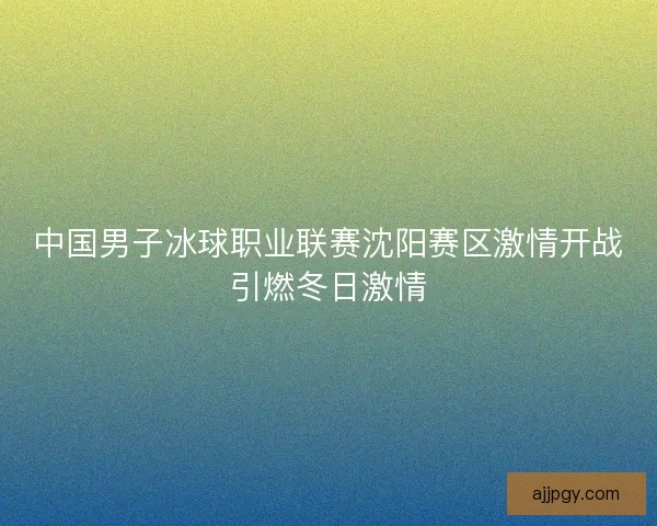 中国男子冰球职业联赛沈阳赛区激情开战引燃冬日激情 中国男子冰球职业联赛沈阳赛区激情开战引燃冬日激情